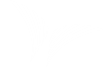 Rosewood Healthcare Group